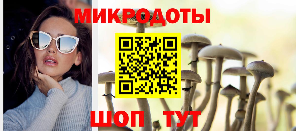 Гусь-Хрустальный  Галлюциногенные грибы Psilocybe  Галлюциногенные грибы прущие грибы  Вход с VPN 