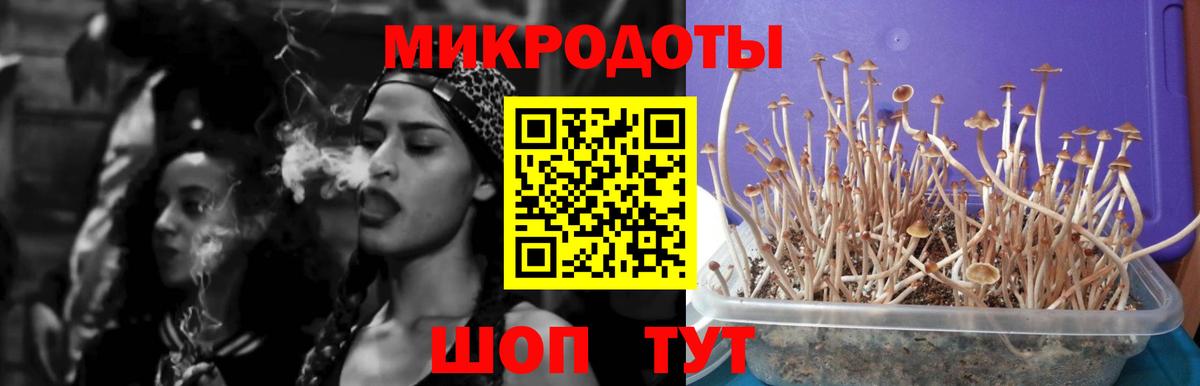 Галлюциногенные грибы Cubensis Гусь-Хрустальный